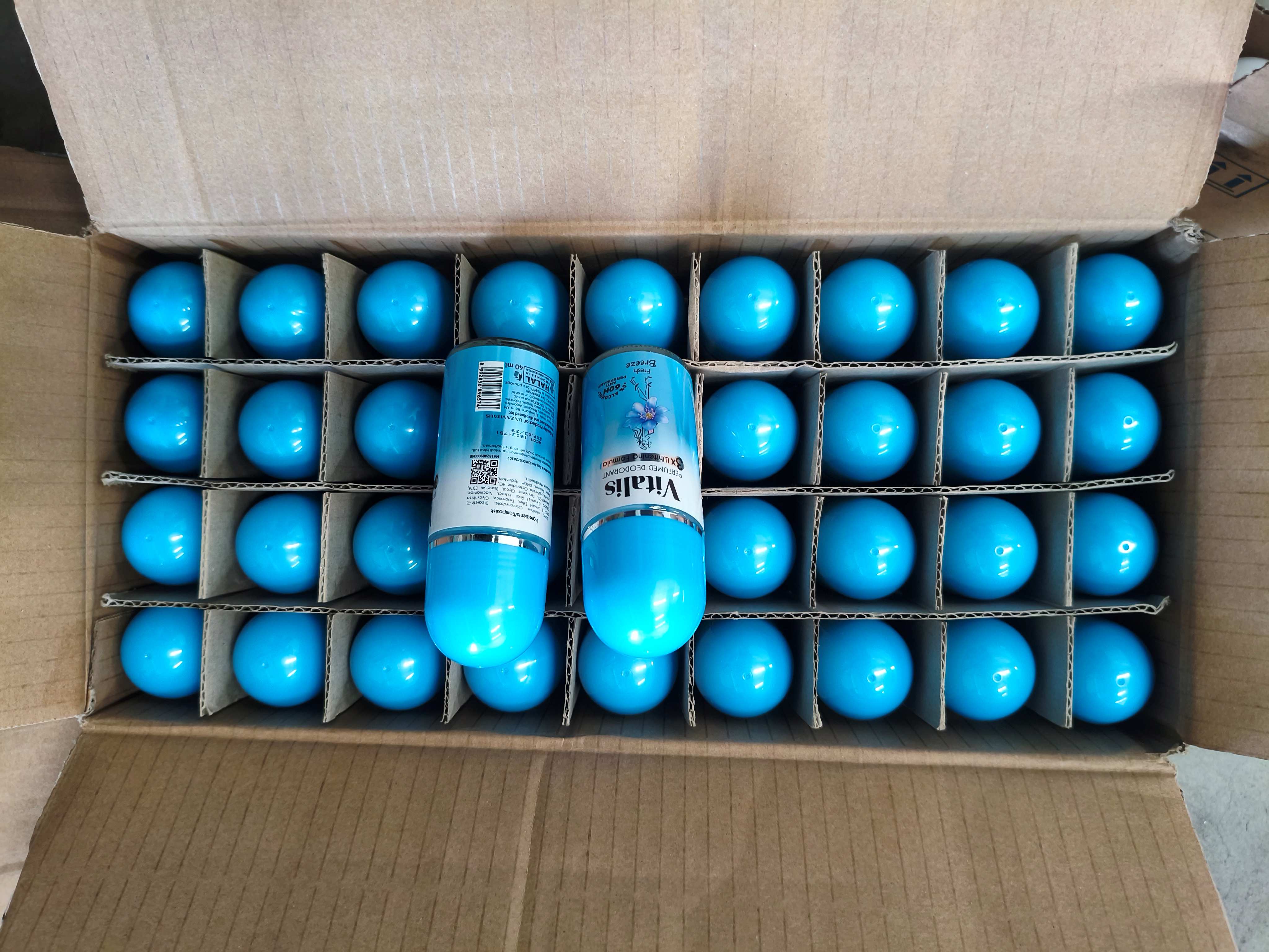 zo-th-1